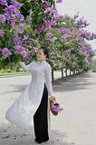 Tím thế bằng lăng ơi !