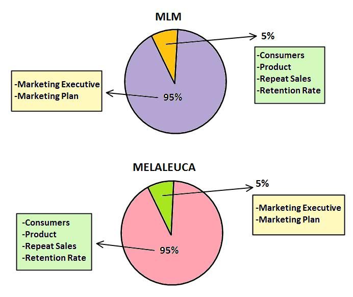 Melaleuca Vs MLM