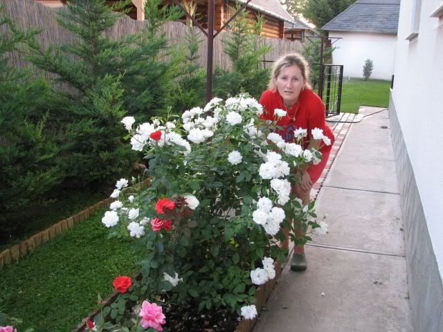 IMG_0043at.jpg