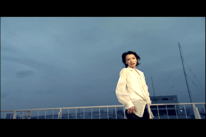  photo WinDVD2013-08-2515-06-14-64.png
