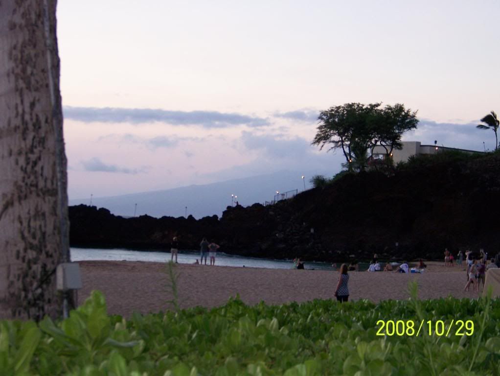 http://i377.photobucket.com/albums/oo214/davidatcanada/Hawaii/Maui/100_3362.jpg