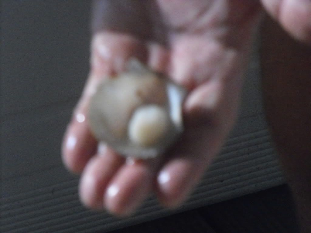 DSCF0473.jpg