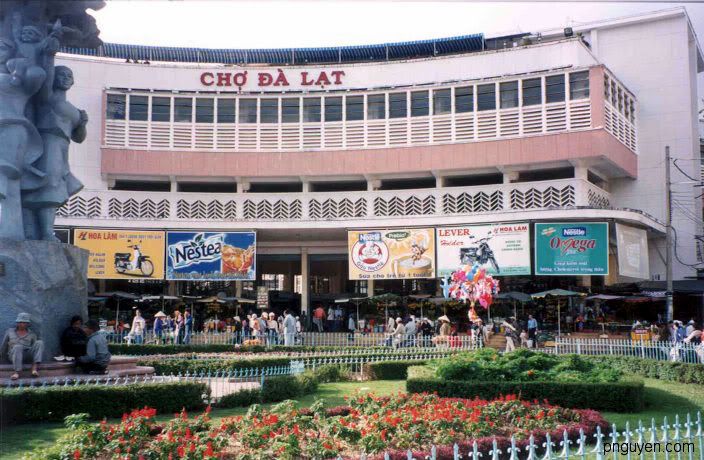 Đà Lạt có bao nhiêu anh em 5s - 8