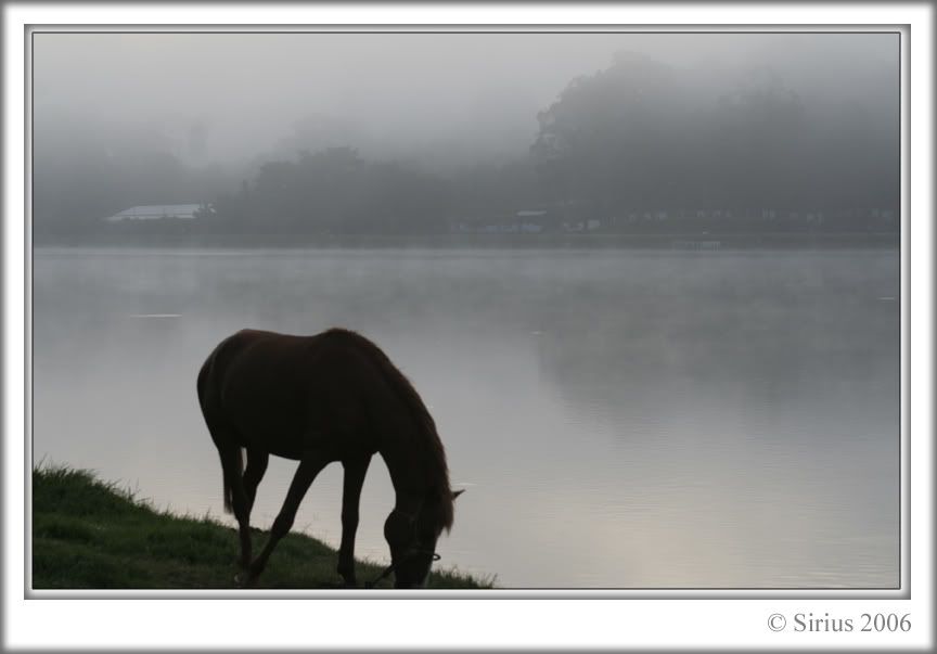 Đà Lạt có bao nhiêu anh em 5s - 16