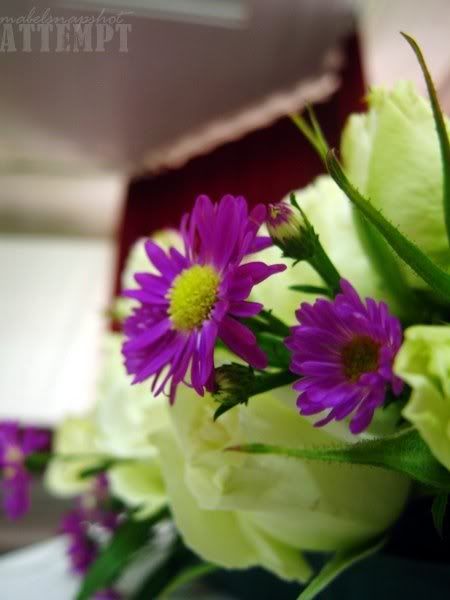 Wedding Preparation (P2)