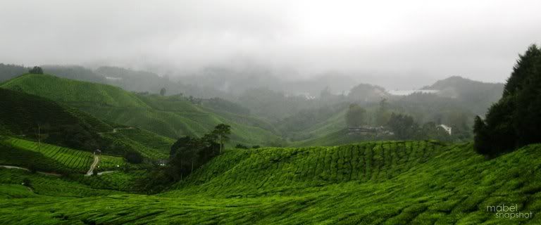 Trip to Cameron Highlands - The Greens (P6)