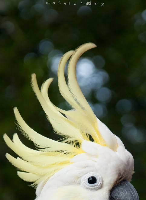 #photo