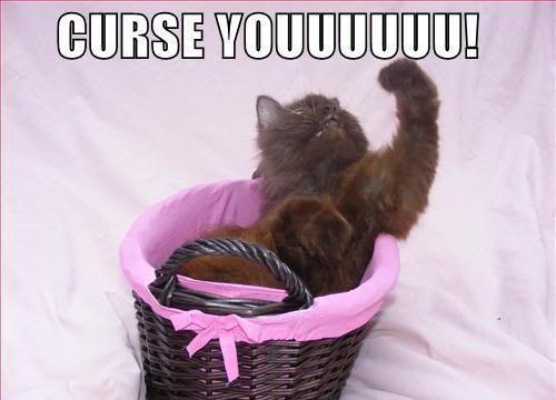 [Image: funny-pictures-angry-cat-curses-you.jpg]
