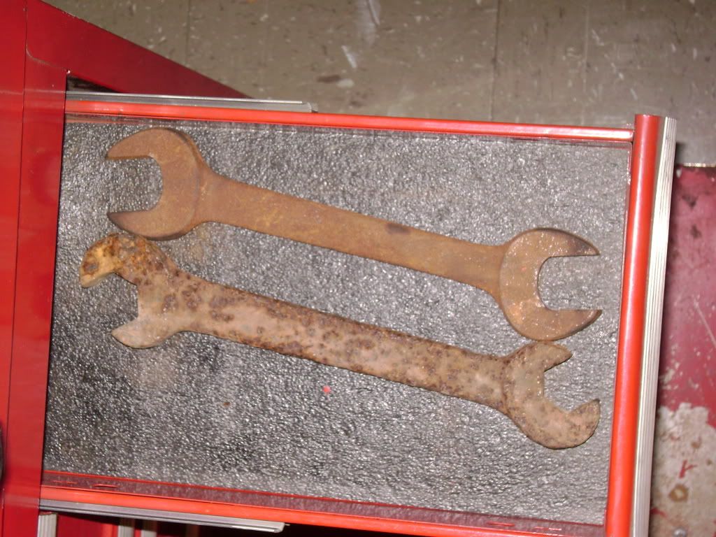 DSC02013.jpg