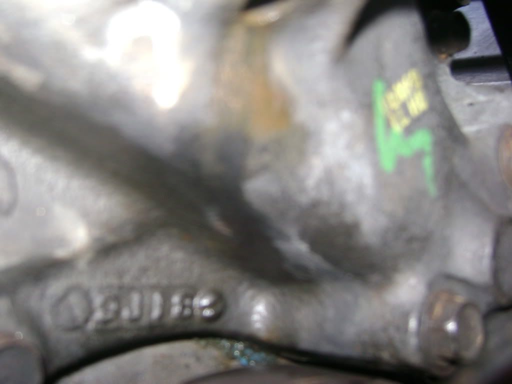DSC03294.jpg