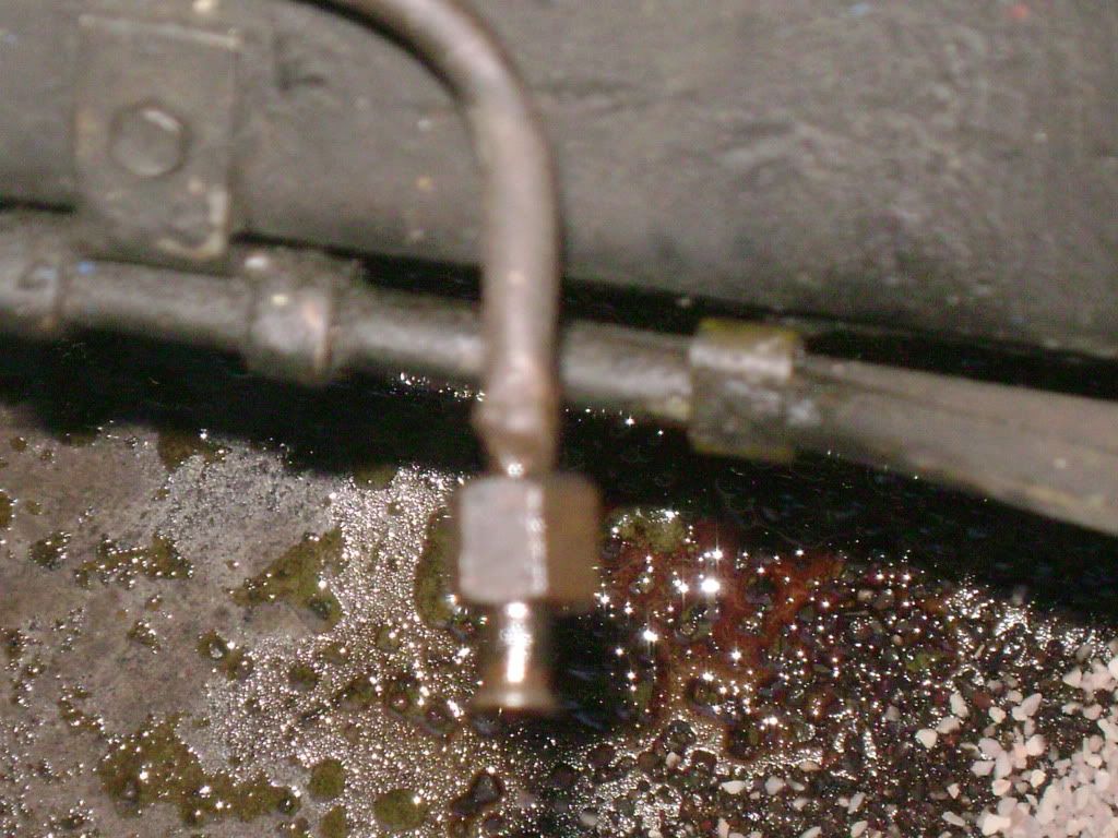 DSC03877.jpg