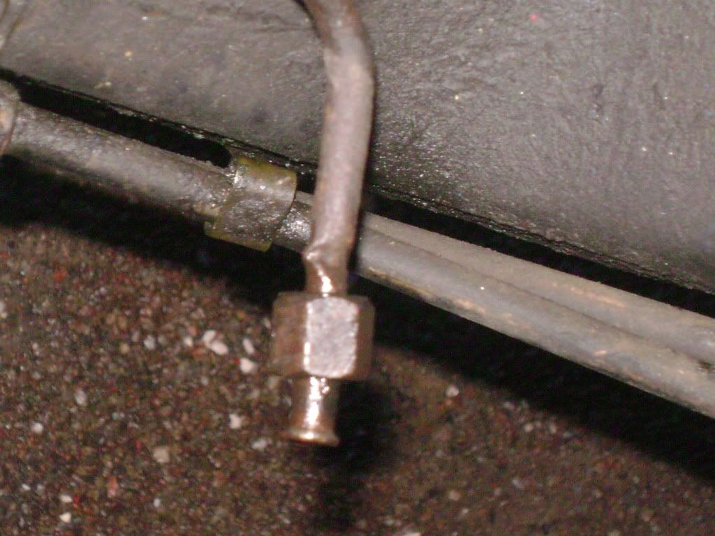 DSC03878.jpg