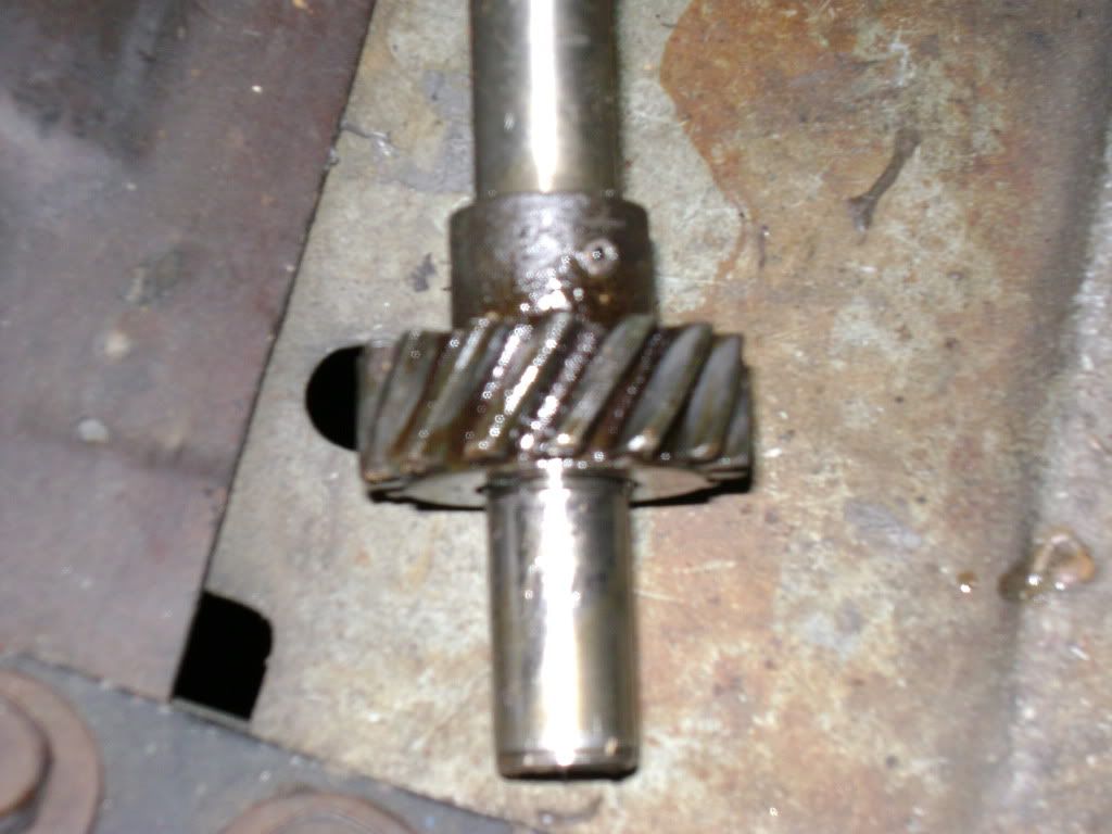 DSC04218.jpg