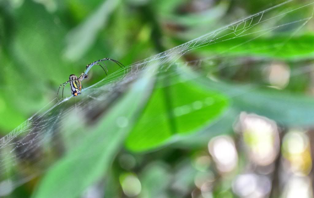 fotografias fotografias