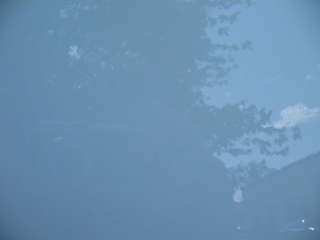 IMG_1376.jpg