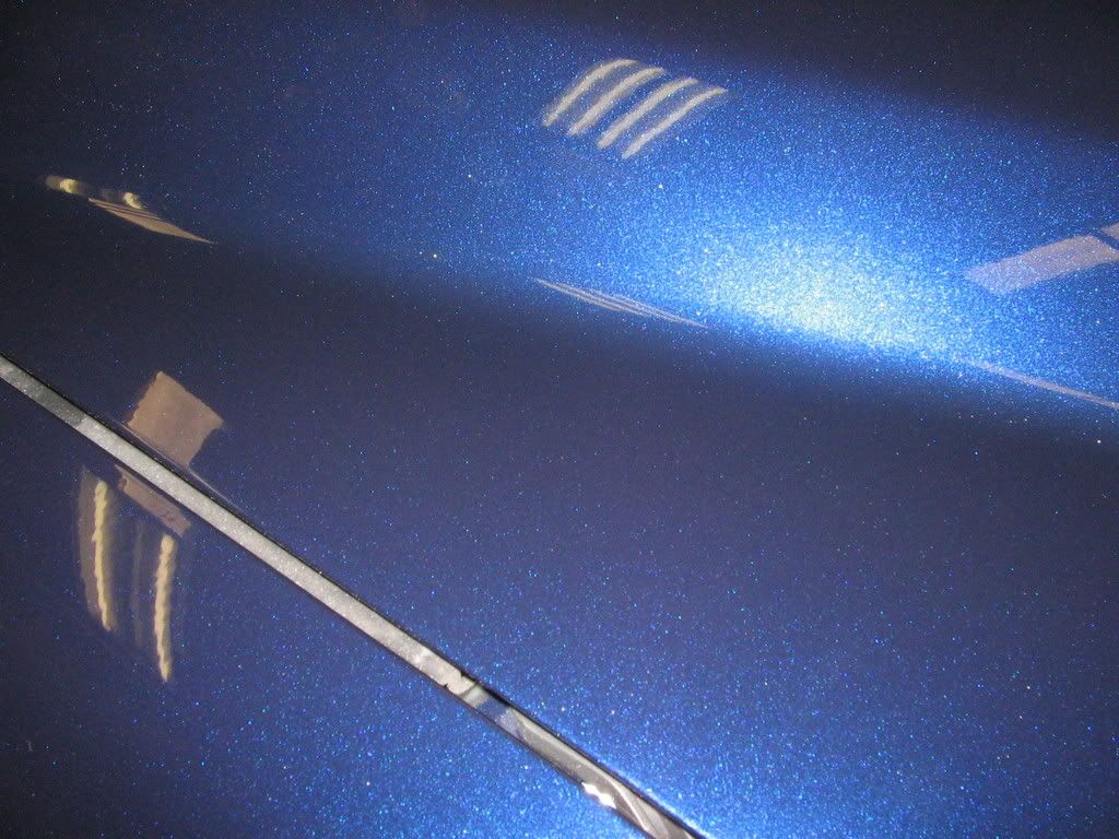 IMG_1260.jpg