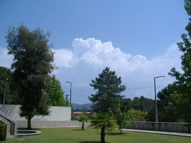 DSCF1143.jpg
