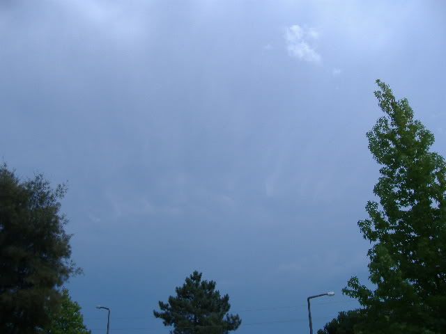 DSCF1145.jpg