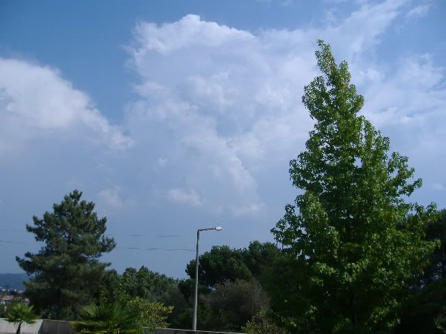 DSCF1149.jpg