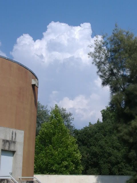 DSCF1150.jpg
