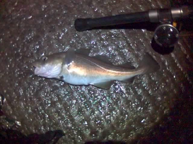13-01-10_2135.jpg