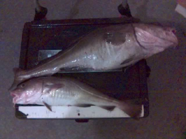 14-01-10_0513.jpg