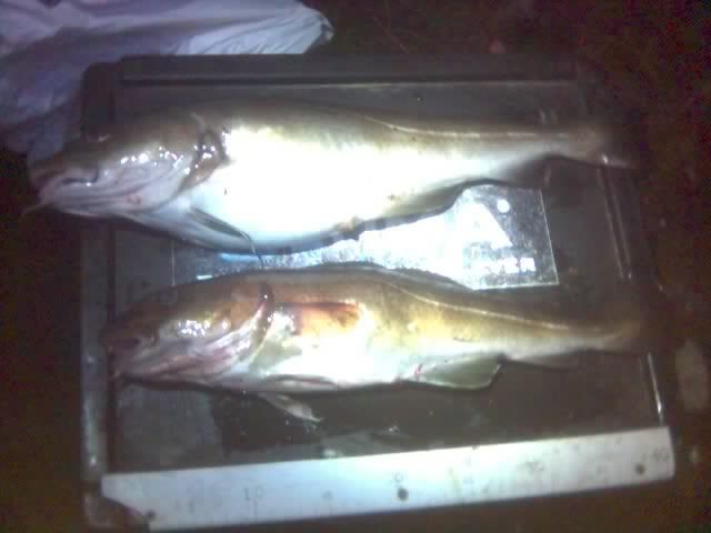 30-12-09_1355.jpg