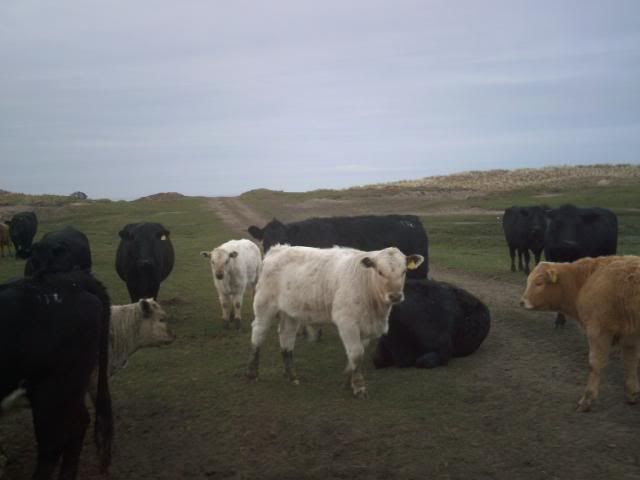 IMAG0023-3.jpg