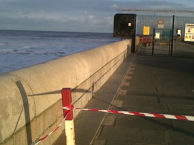IMG00089-20111209-1429.jpg