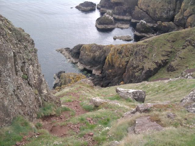 Photo0684.jpg