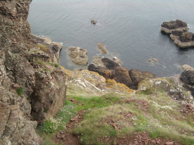 Photo0686.jpg