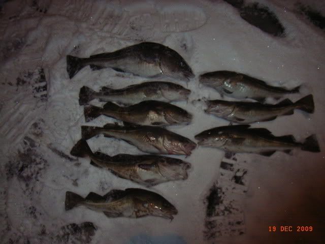 RIMG0003-2.jpg