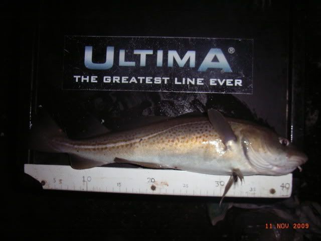 RIMG0004-2.jpg