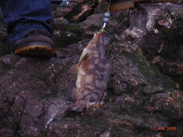 RIMG0005.jpg