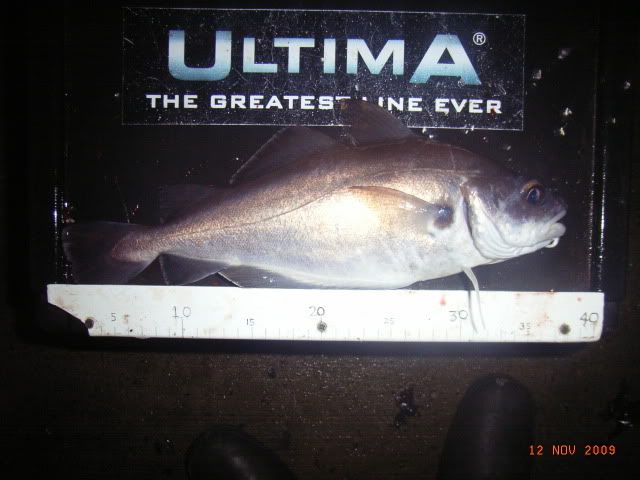 RIMG0007-1.jpg