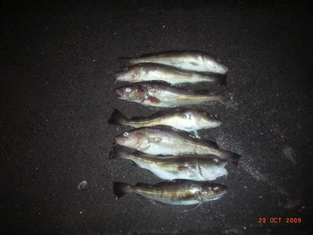 RIMG0008.jpg