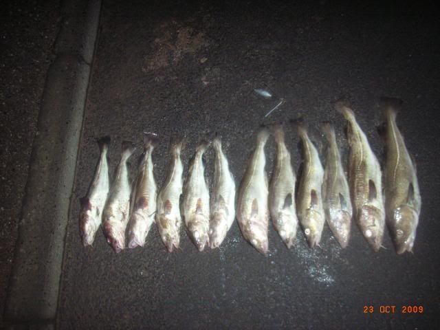 RIMG0011-1.jpg