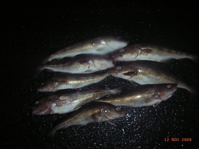 RIMG0011-2.jpg