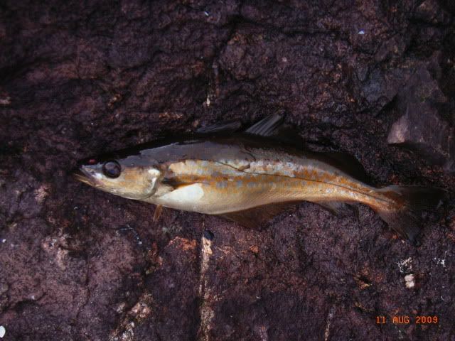 RIMG0011.jpg
