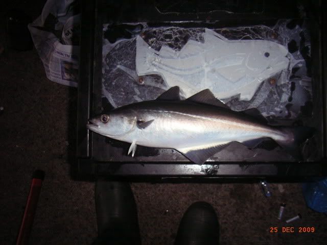 RIMG0012-1.jpg