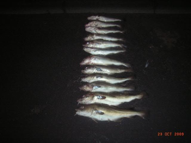 RIMG0012.jpg