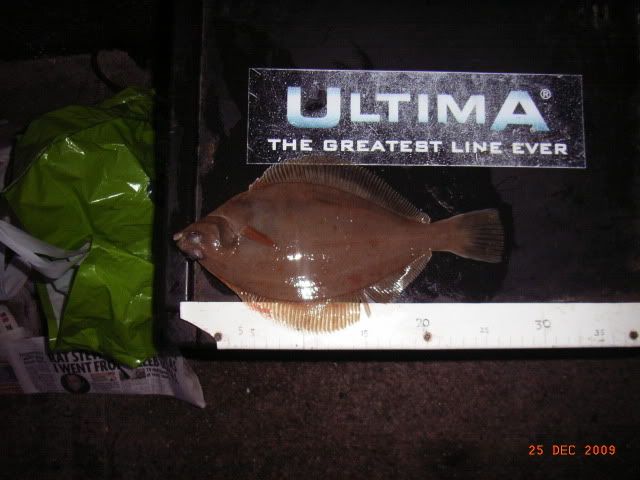 RIMG0013-1.jpg