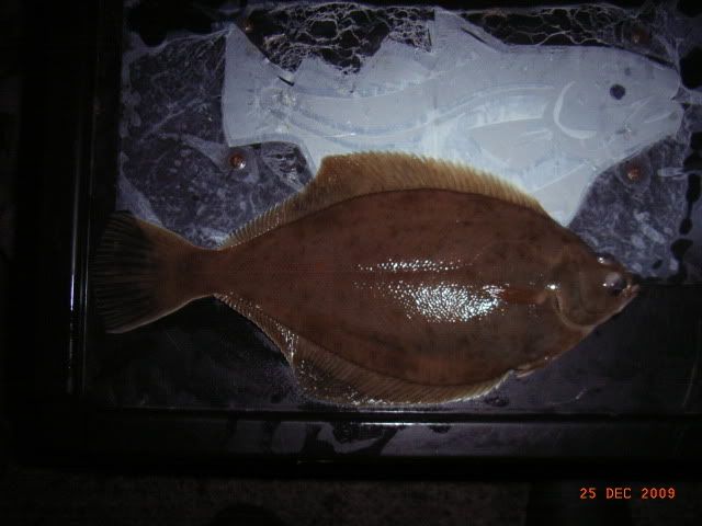 RIMG0016.jpg
