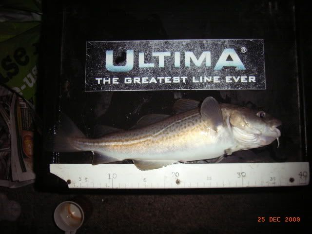 RIMG0018-2.jpg