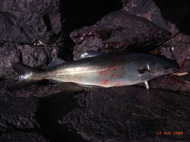 RIMG0023.jpg