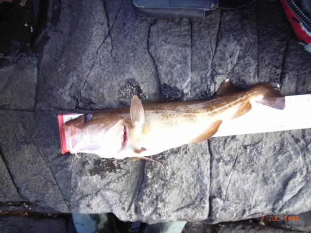RIMG0058.jpg