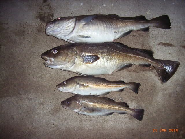 RIMG0073.jpg