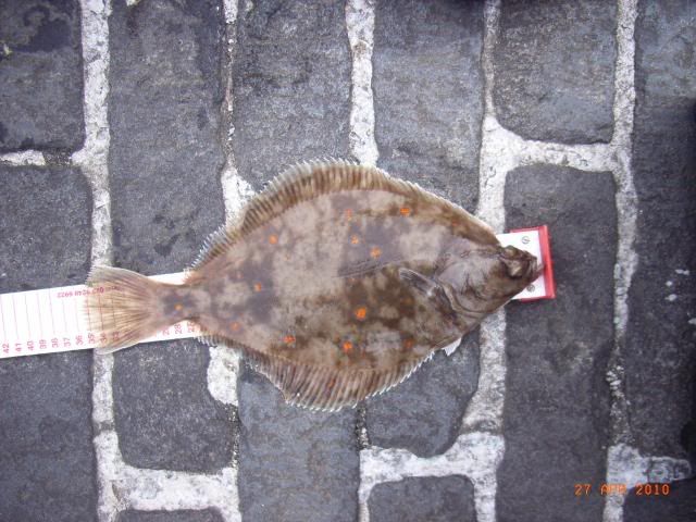 RIMG0188.jpg
