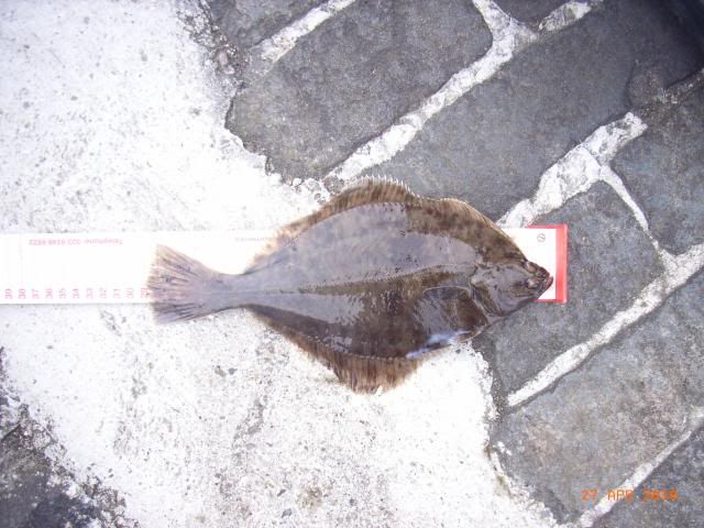 RIMG0189.jpg