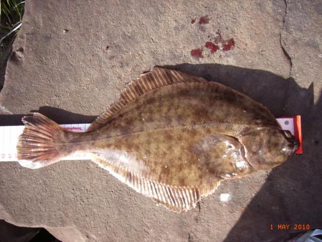 RIMG0190.jpg